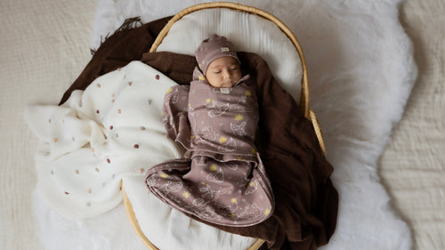 Yenidoğan Kundak Seti – QUNDAQ Kalça Dostu Little Bird Tale Desen